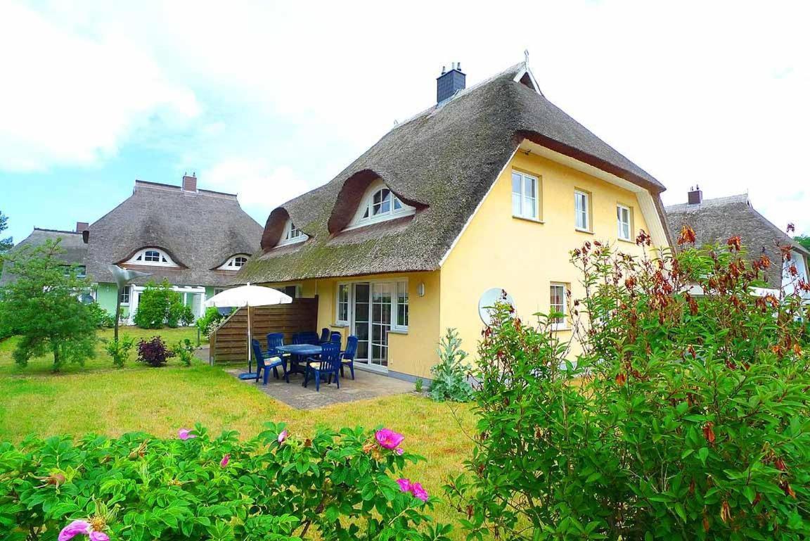 Ferienhaus An Der Alten Waldschaenke Ws-11A Борн Экстерьер фото